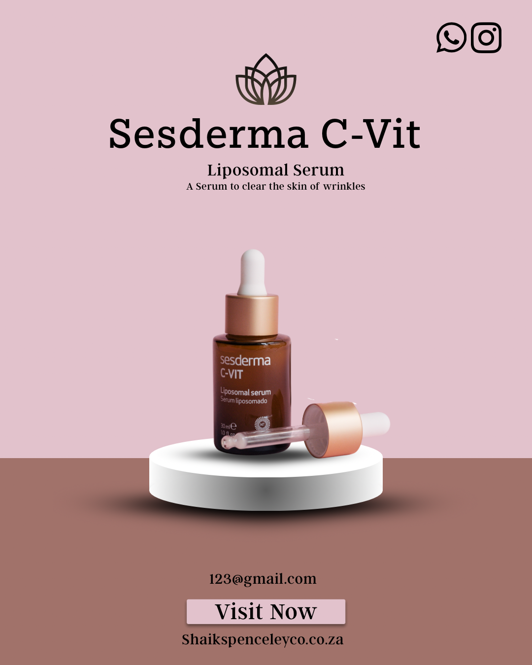 Editable Social Media Product Post Template – Digital Download Canva Edit