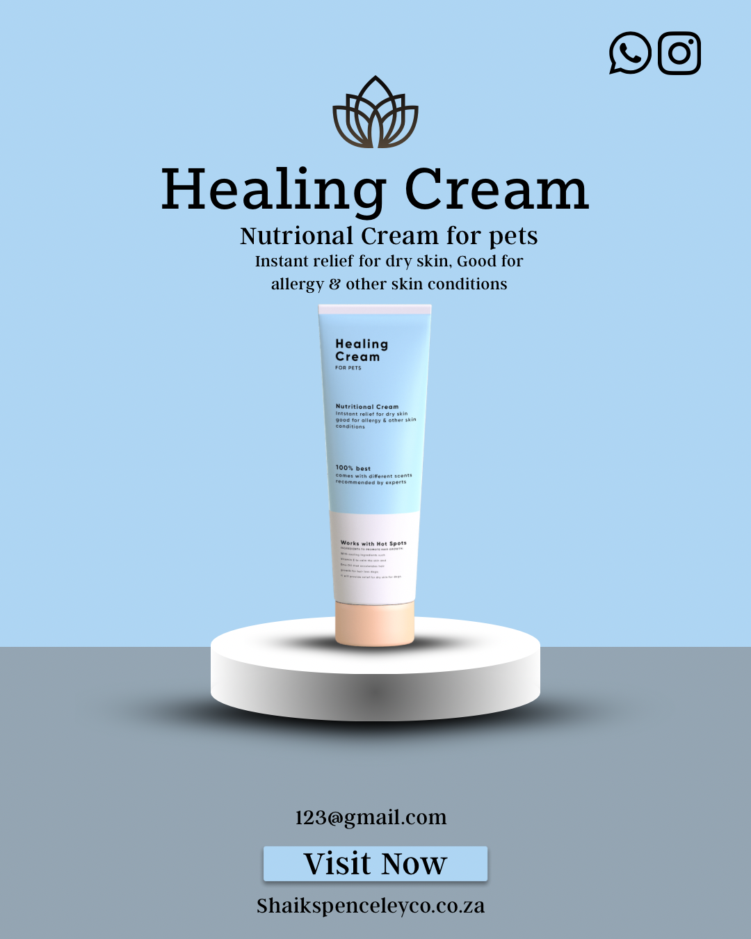 Editable Social Media Product Post Template – Digital Download Canva Edit