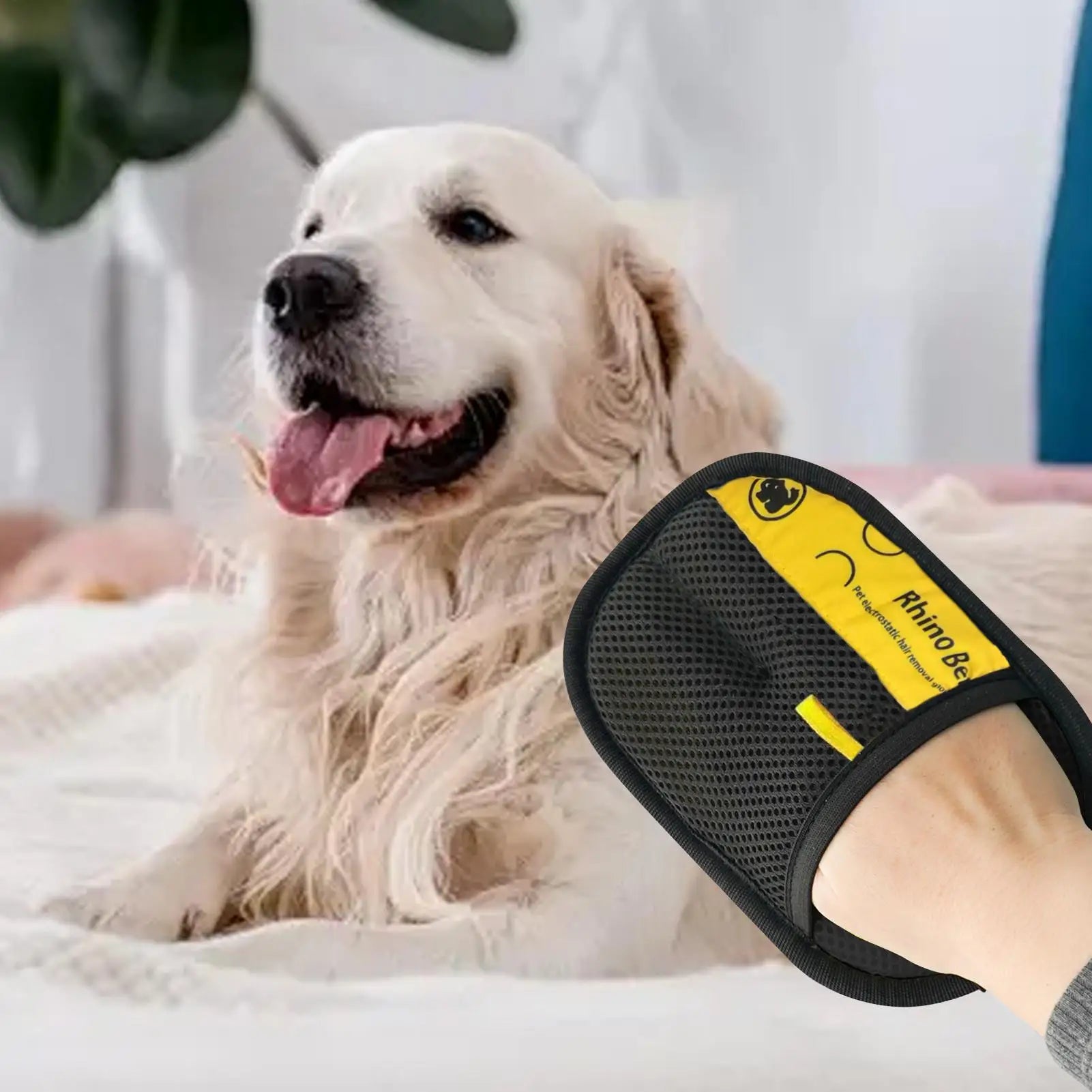 S2a84ea015d47477fa561eeacc553bba5K